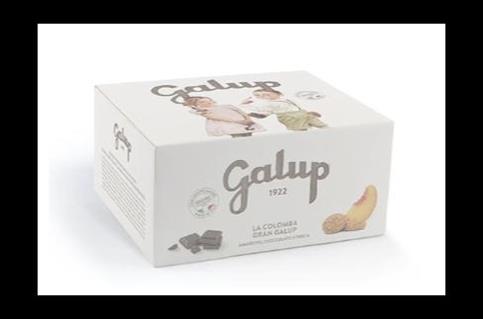 COLOMBA GALUP AMARETTO CIOCCOLATO E PESCA IN SCATOLA GR 750