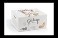 COLOMBA GALUP AMARETTO CIOCCOLATO E PESCA IN SCATOLA GR 750