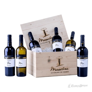 VINO MASSELINA CASSETTA LEGNO 6 BOTTIGLIE