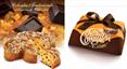 COLOMBA FLAMIGNI TRADIZIONALE CON GOCCE DI CIOCCOLATO KG 1