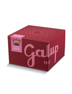 PANETTONE GRAN GALUP AMARENE E CIOCCOLATO IN SCATOLA GR 750