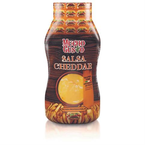 SALSA CHEDDAR TOPFOOD ((GR 890))