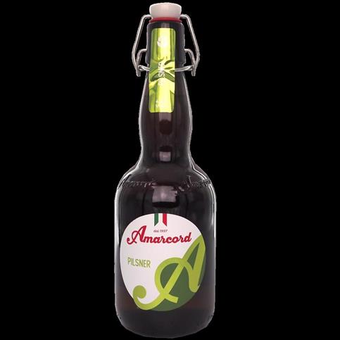 AMARCORD PILSNER CL 50