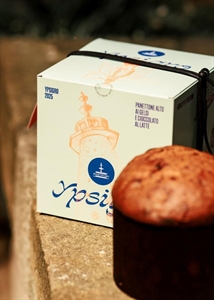 PANETTONE GELSI E CIOCCOLATO AL LATTE GR.750 FIASCONARO