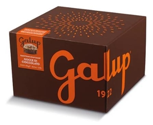 PANETTONE GG GOCCE DI CIOCCOLATO GR 750 GALUP SCATOLA