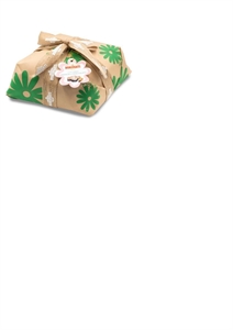 COLOMBA BONIFANTI ARANCIA E CIOCCOLATO GR 750