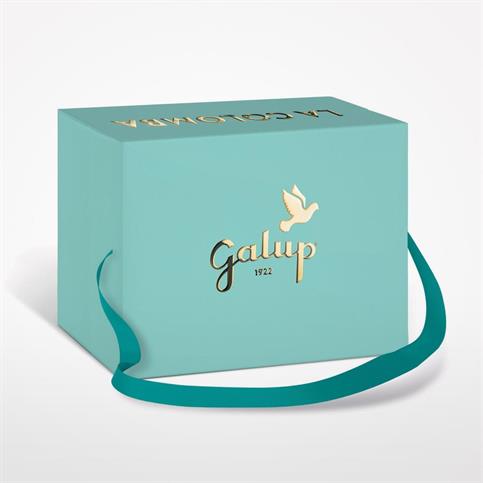 COLOMBA GALUP TRADIZIONALE SCATOLA GR 750