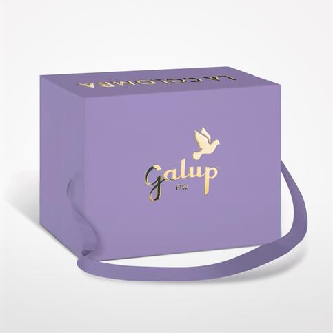 COLOMBA GALUP LAMPONE E GOCCE DI CIOCC GR 750