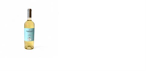 VINO BIANCO ZIBIBBO FERROCINTO CL 75