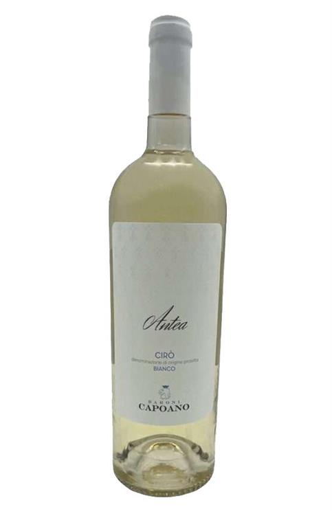 CIRO ANTEA BIANCO CAPOANO CL 75